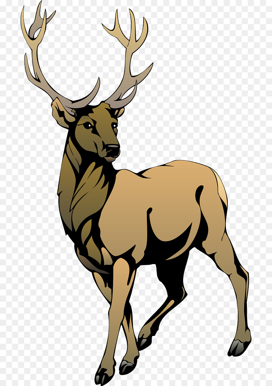 Cerf Jaune，Bois PNG