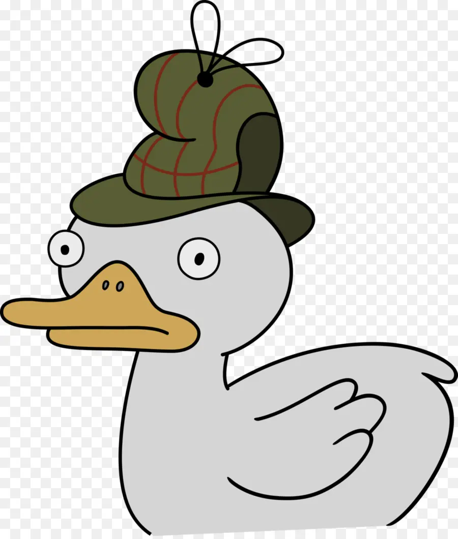 Canard，Chapeau PNG