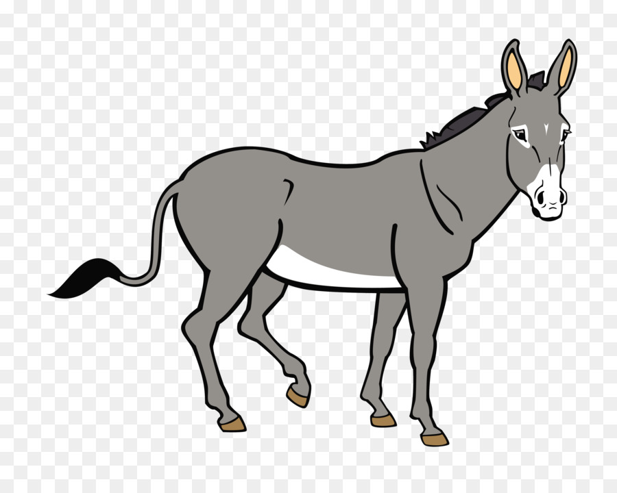 Âne，Mule PNG