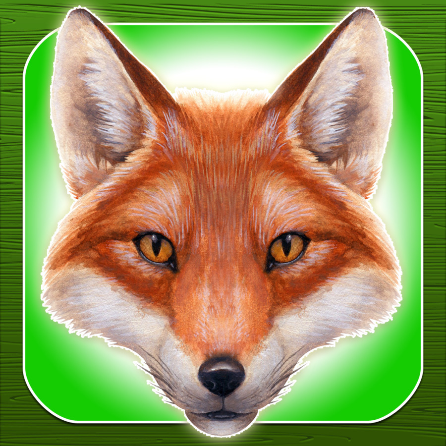 Visage De Renard，Réaliste PNG