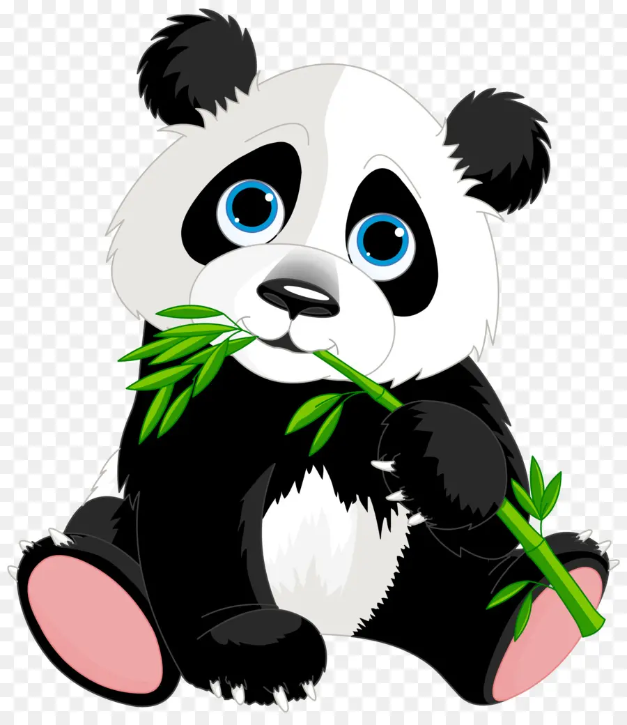 Panda，Bambou PNG