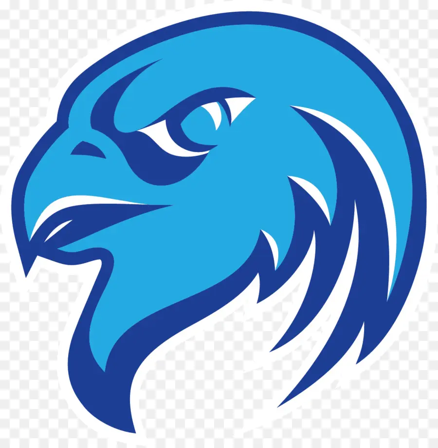 Falcons D'atlanta，Logo PNG