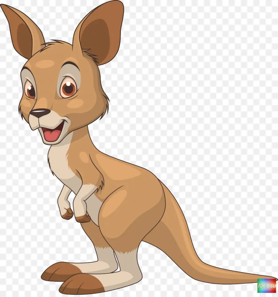 Kangourou，Marsupial PNG