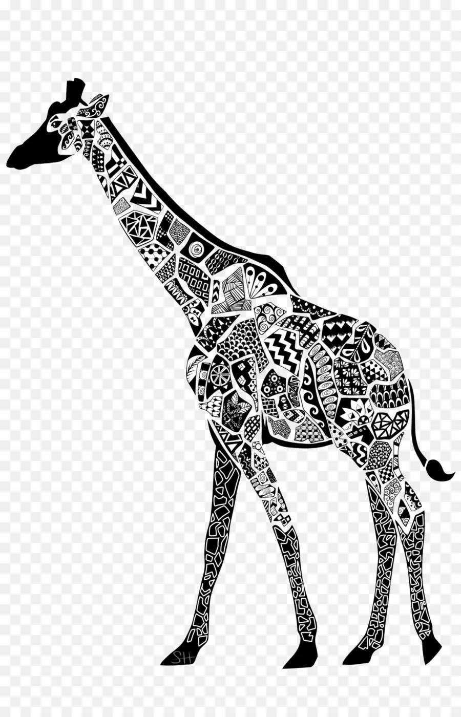 Girafe，Noir Et Blanc PNG