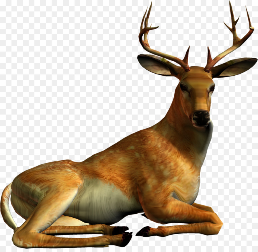 Cerf，Bois PNG