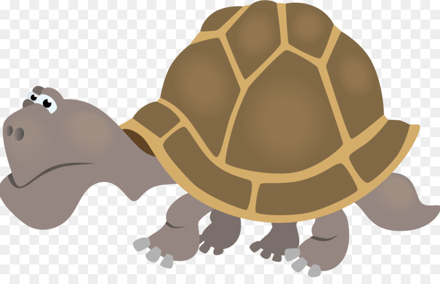 Tortue，Reptile PNG