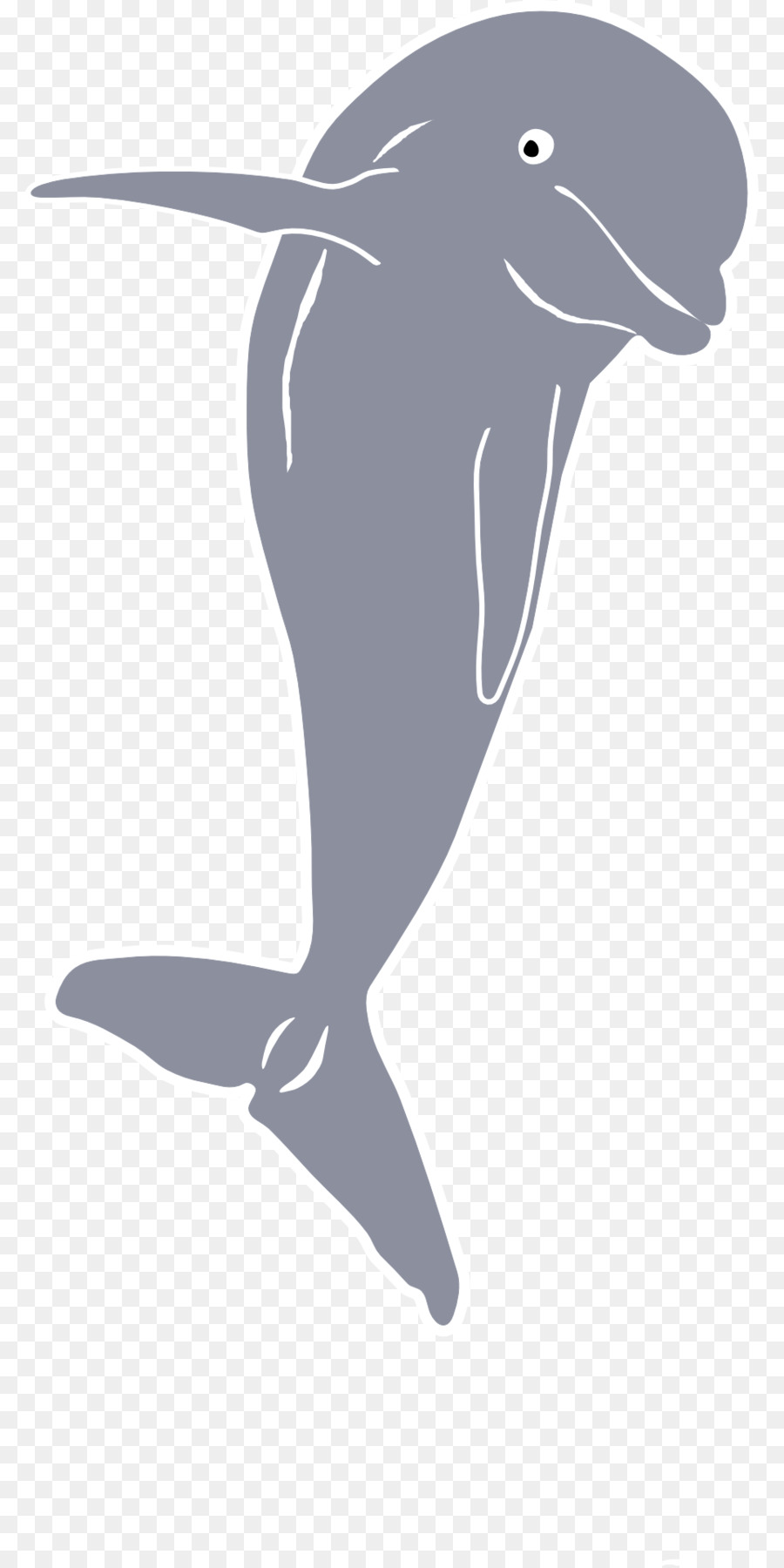 Dauphin Dauphin，Baleine PNG