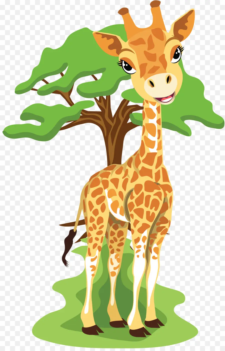Girafe，Bébé Girafes PNG