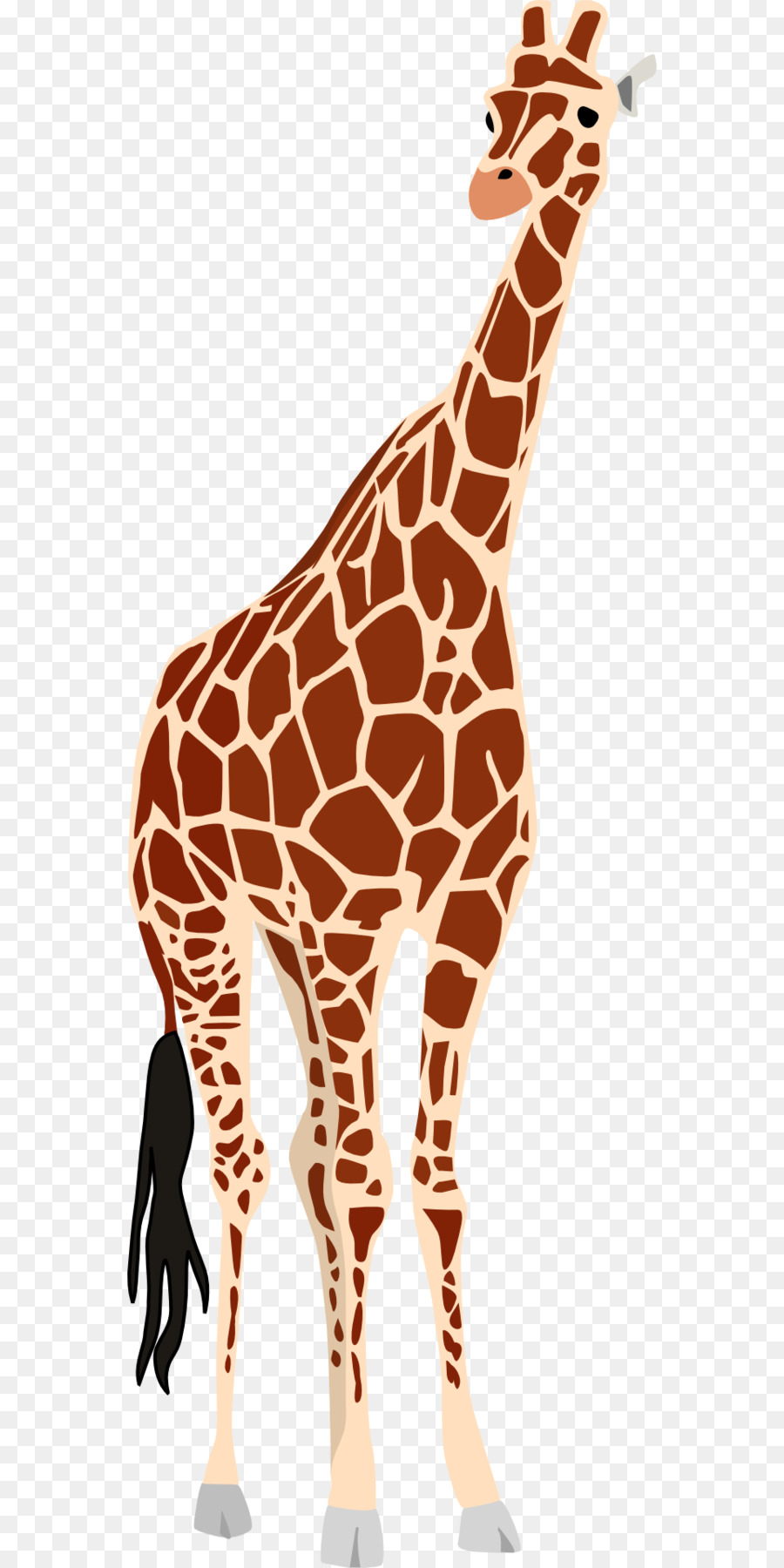 Girafe，Okapi PNG