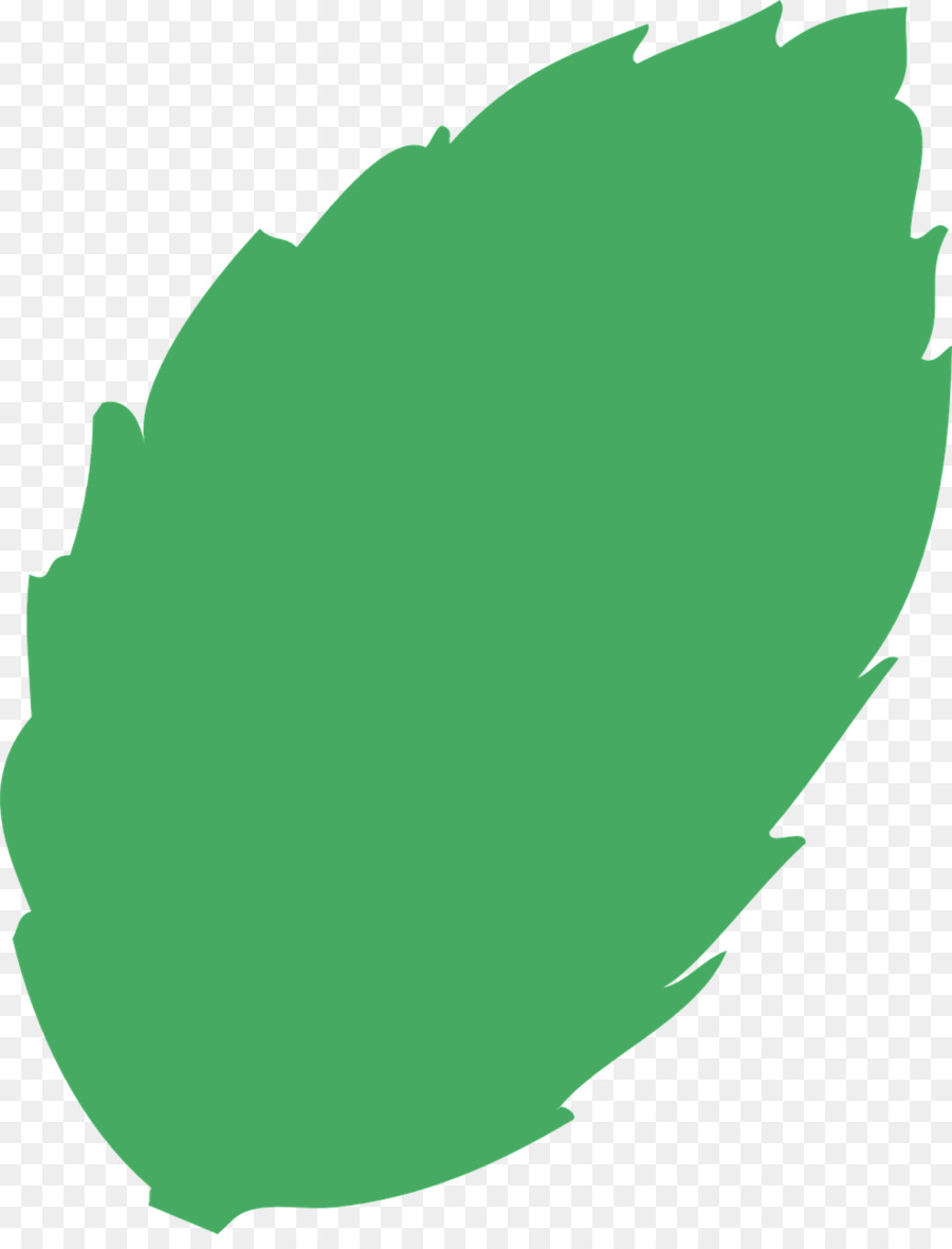 Feuille，Vert PNG