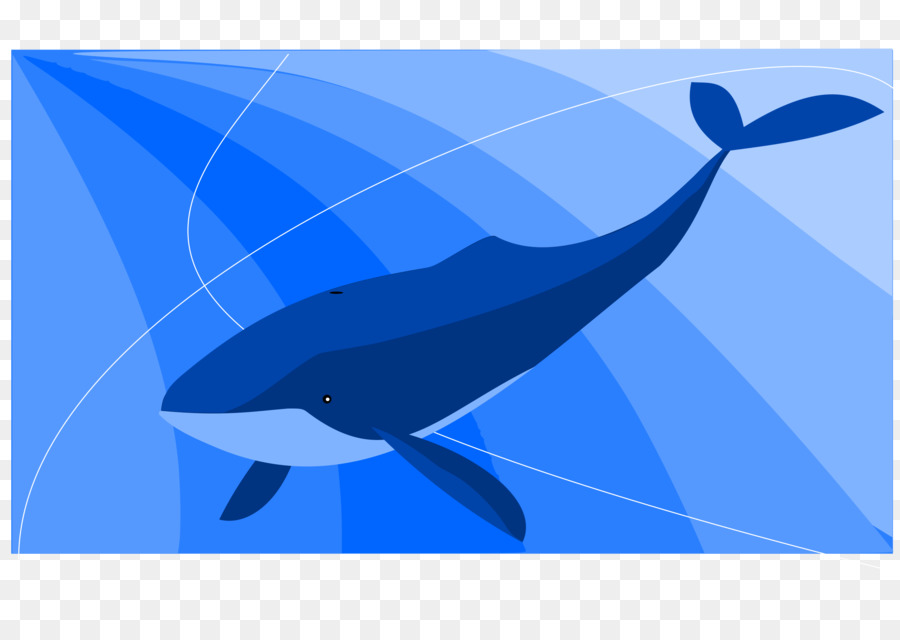 Baleinidés，Baleine Bleue PNG