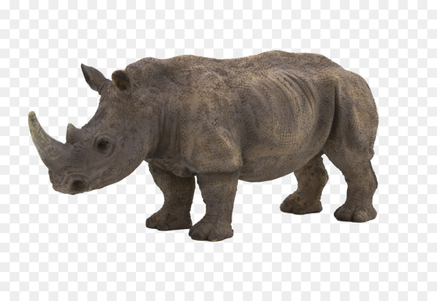 Rhinocéros，Faune PNG