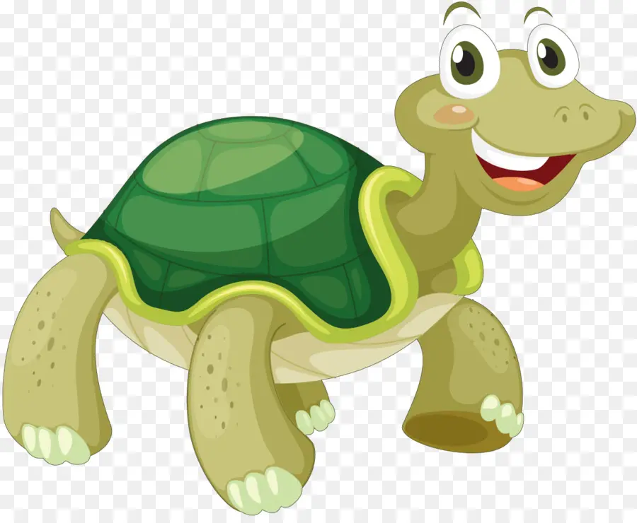 Tortue，Dessin Animé PNG