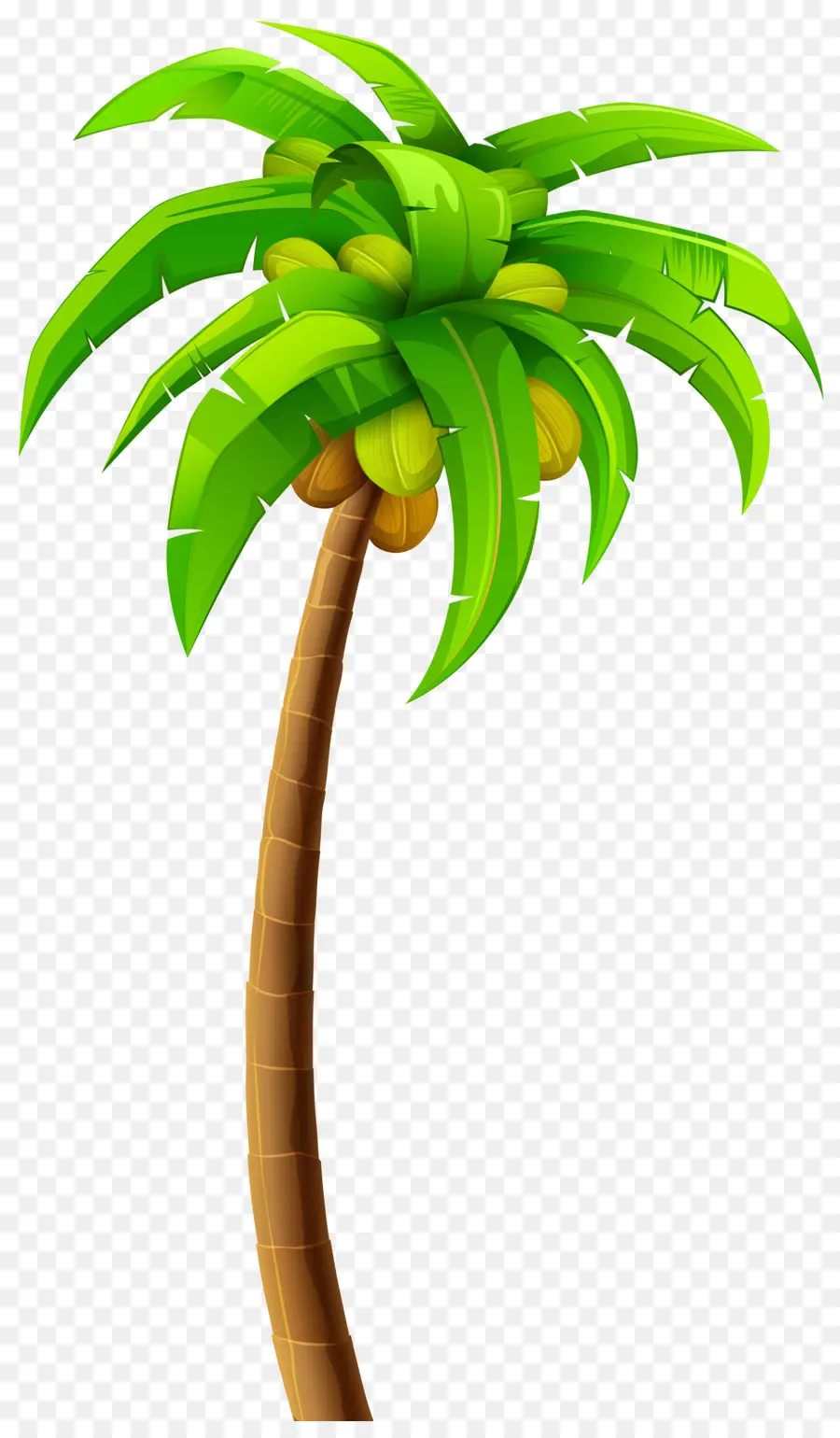 Arbre，Arecaceae PNG