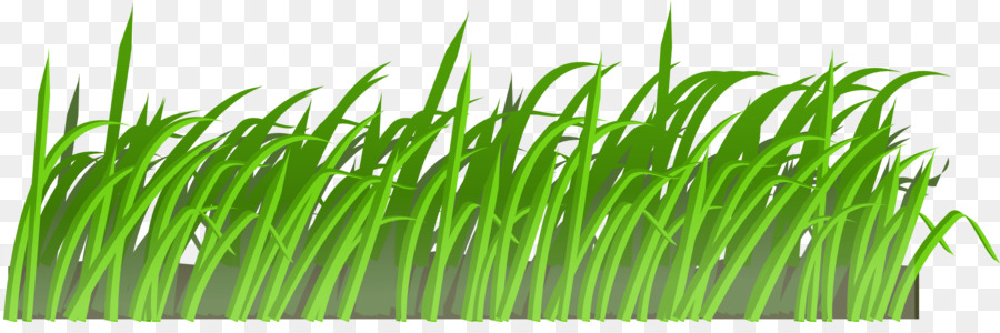 Herbe Verte，Nature PNG