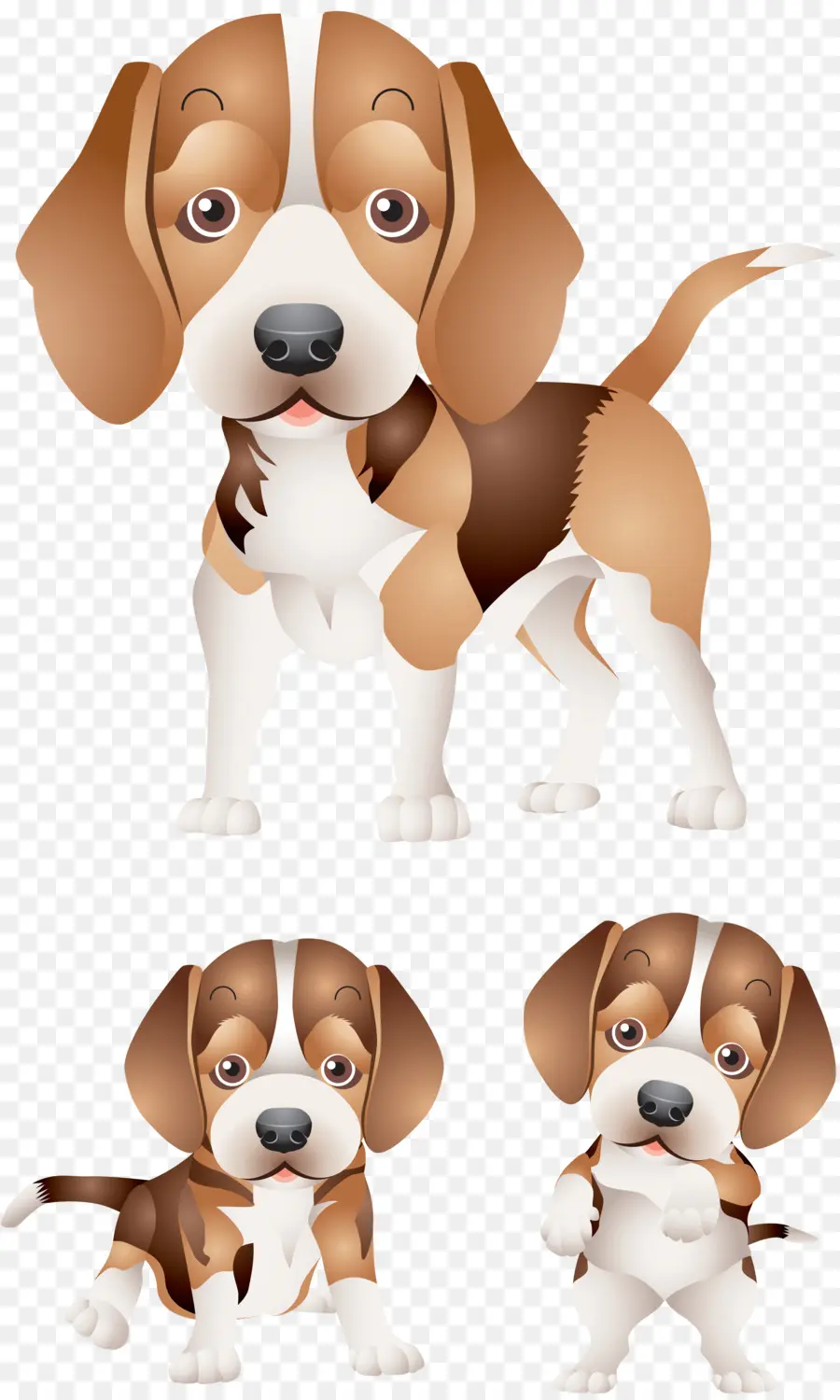 Beagle，Teckel PNG