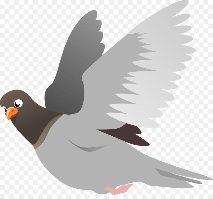 Pigeon，Vol PNG