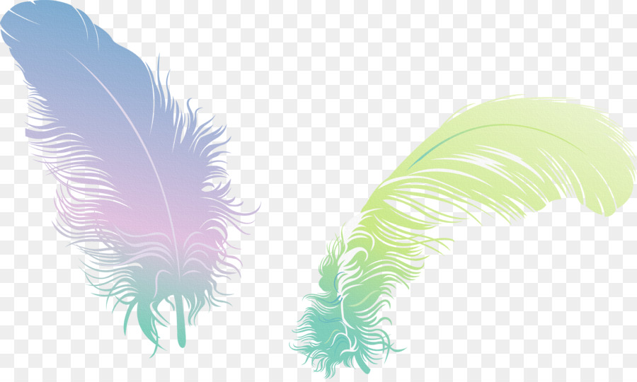 Plumes，Doux PNG