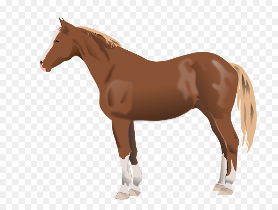 Cheval Qui Court，Animal PNG