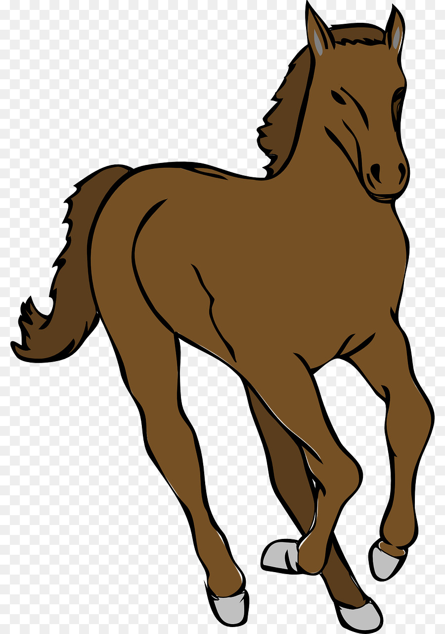 Cheval，Brun PNG