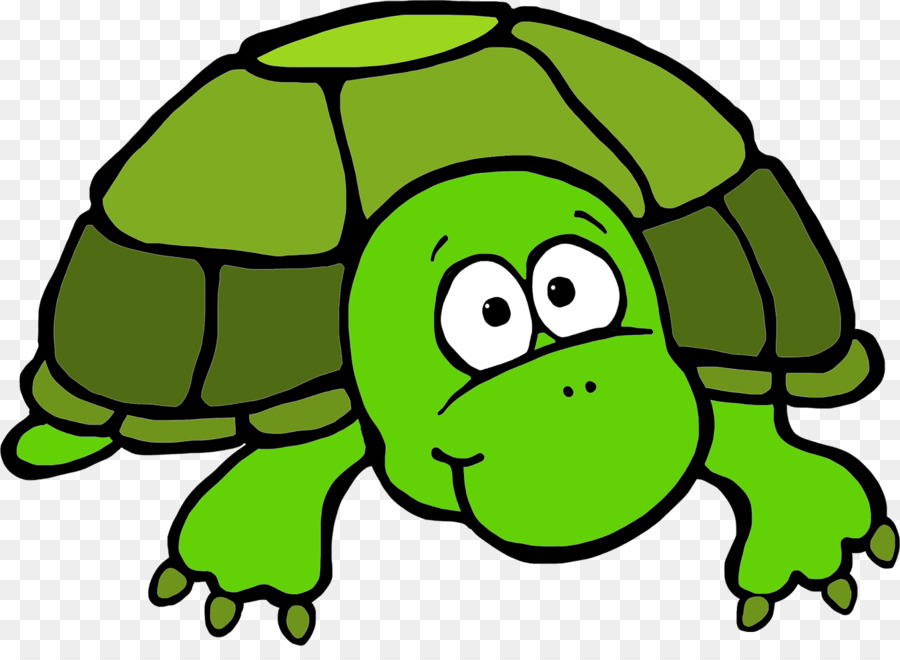 Tortue De Dessin Animé，Coquille PNG