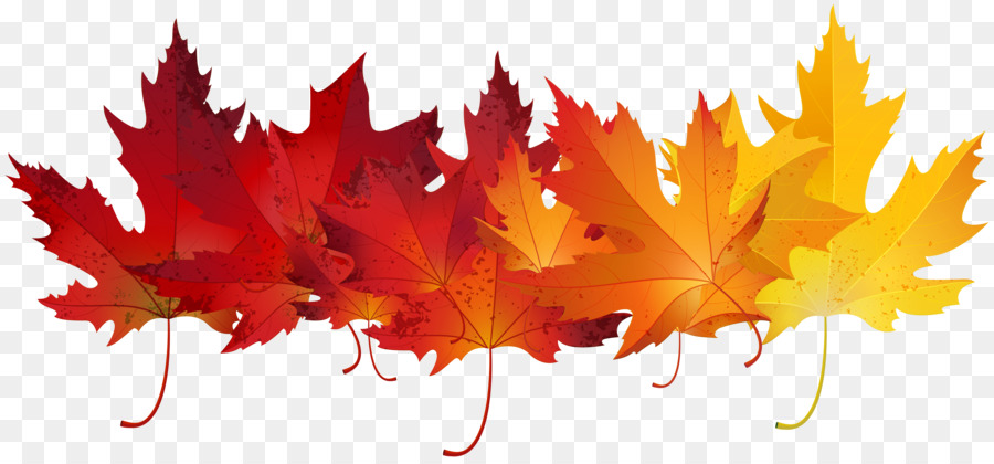 La Couleur Des Feuilles Dautomne Feuille Dessin Png La Couleur Des Feuilles Dautomne Feuille Dessin Transparentes Png Gratuit