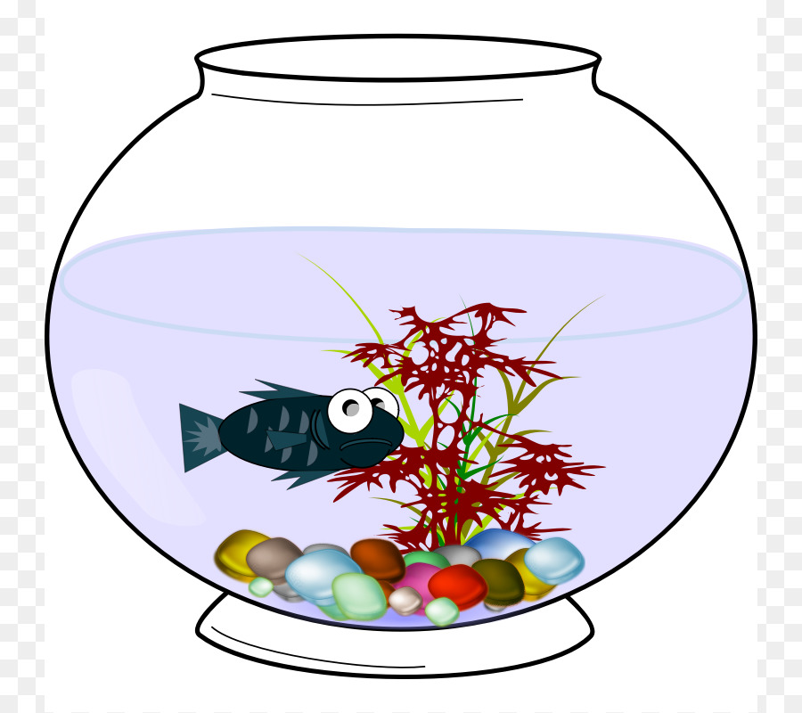 Poisson Rouge，Bol PNG