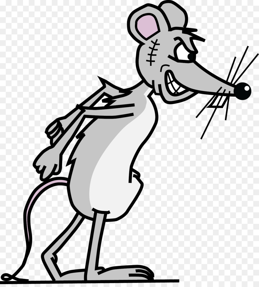 Rat，Les Rongeurs PNG