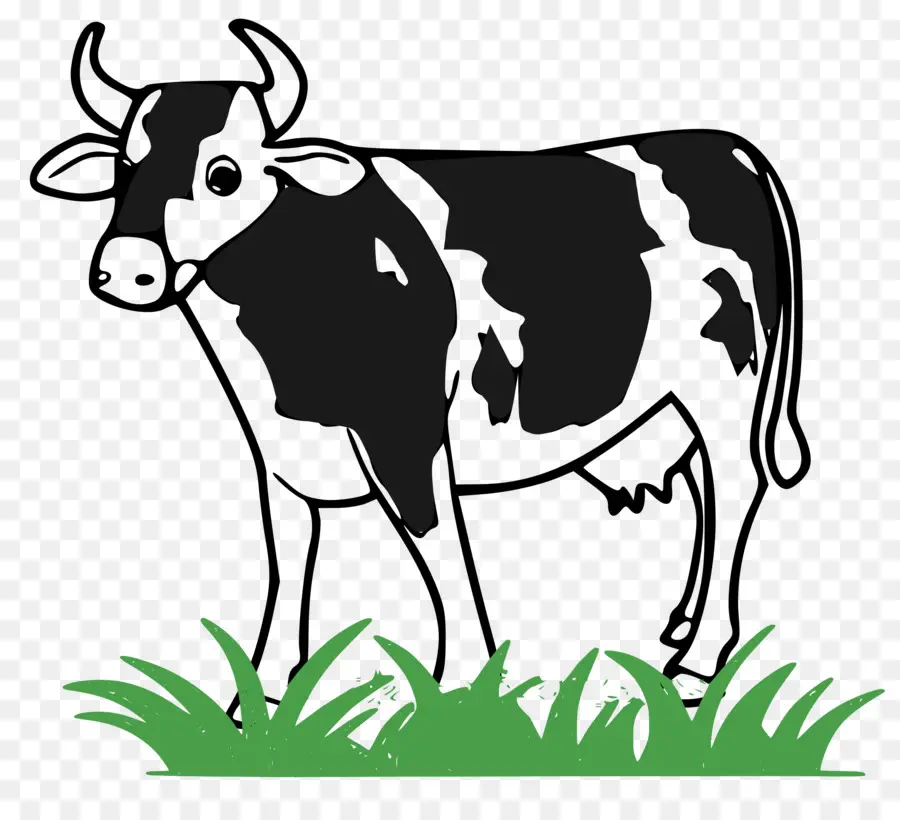 Vache，Noir PNG