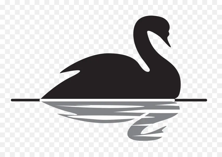 Black Swan L'impact Du Très Improbable，Antifragile PNG