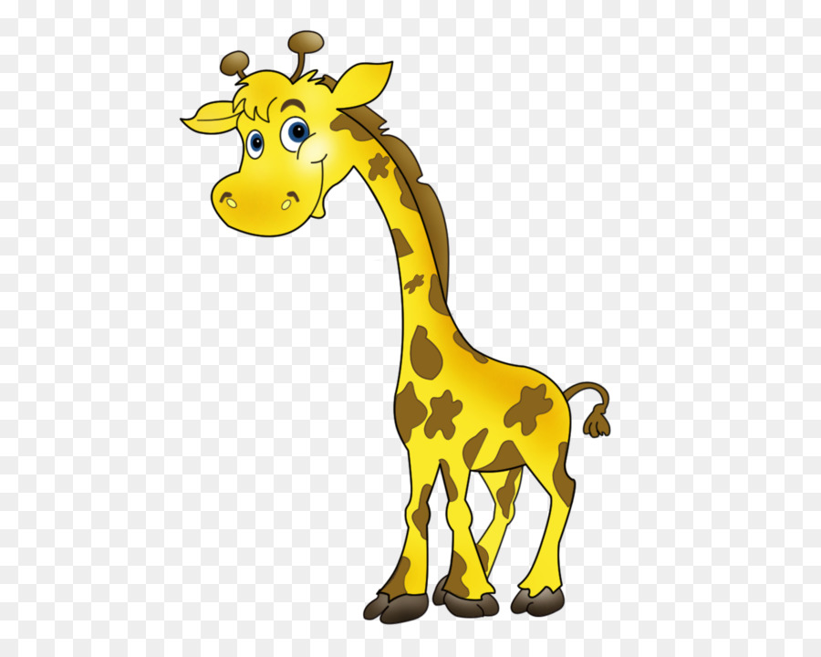 Girafe，Le Nouveau Né PNG