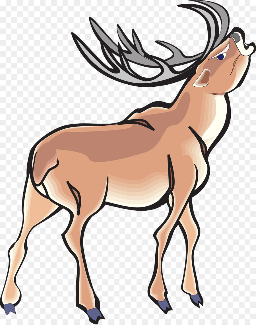 Cerf，Faune PNG