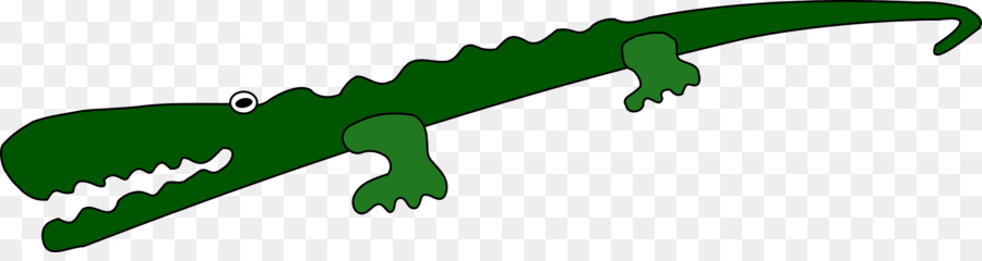 Alligator，Crocodile PNG