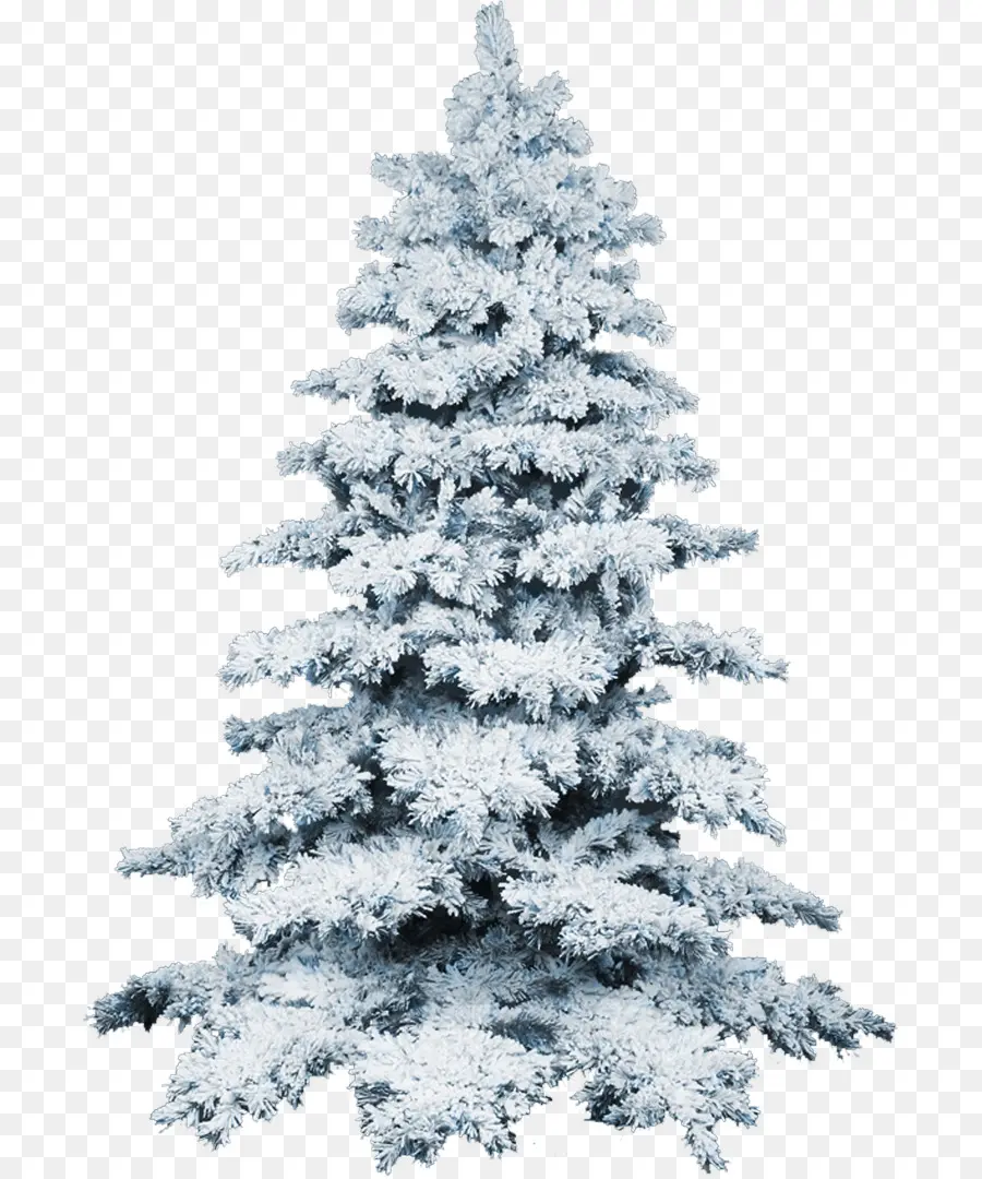 Arbre De Noël Enneigé，Hiver PNG