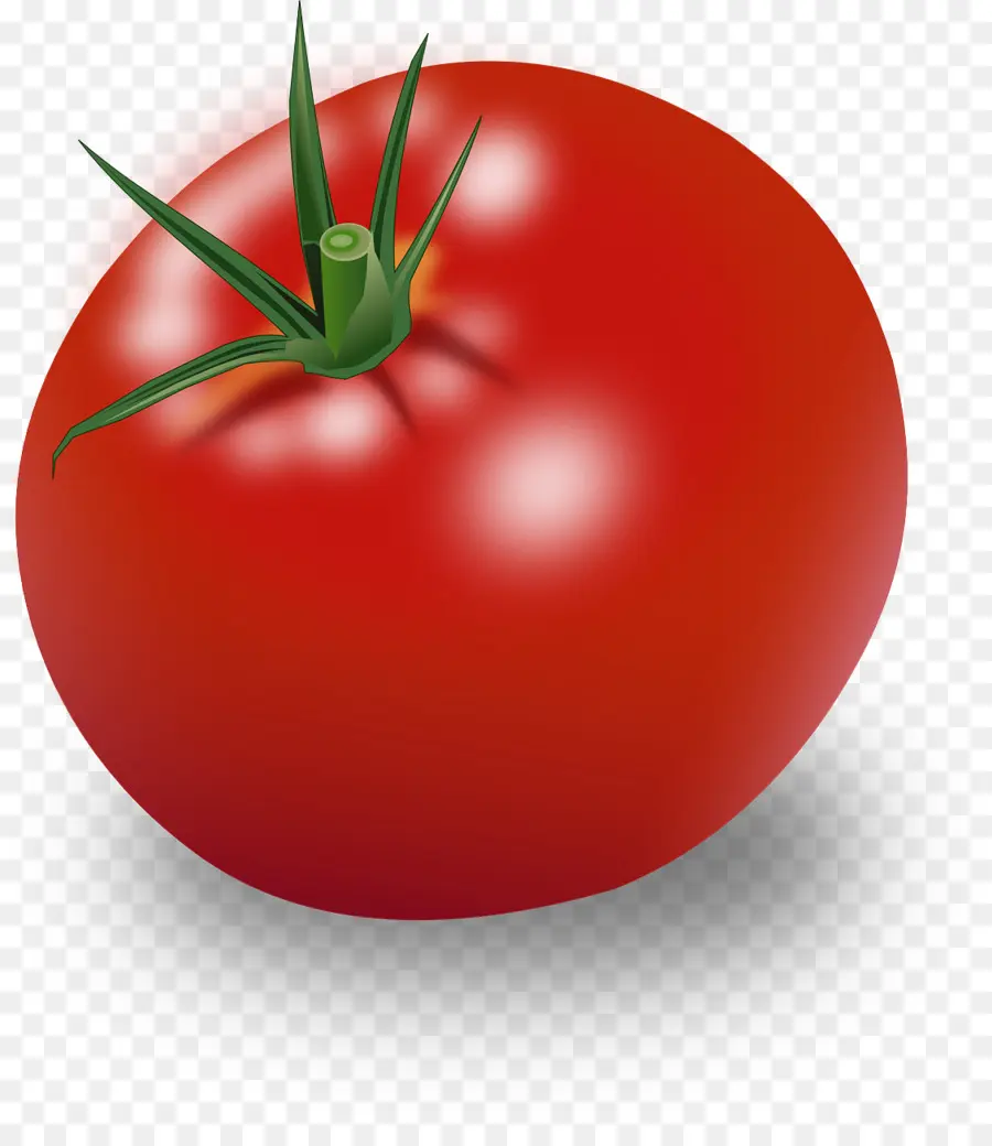 Tomate Rouge，Tige PNG