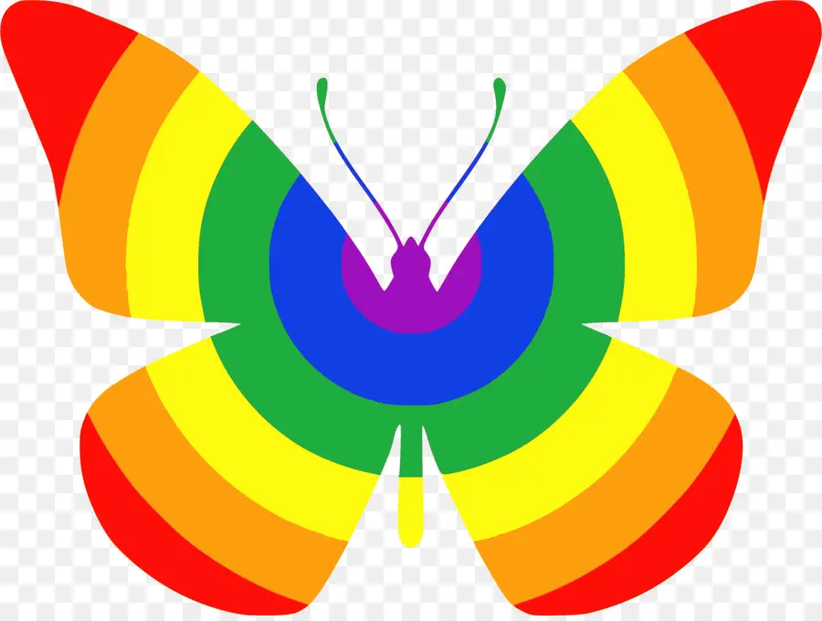 Papillon Arc En Ciel，Coloré PNG