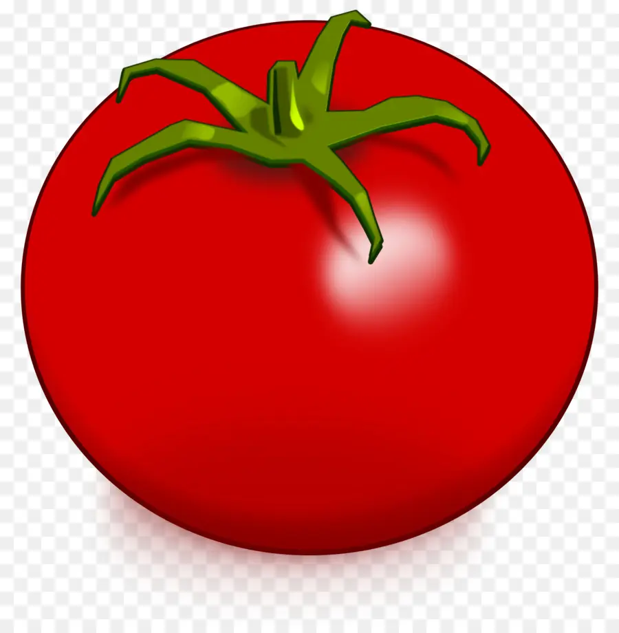 Tomate，Dessin PNG