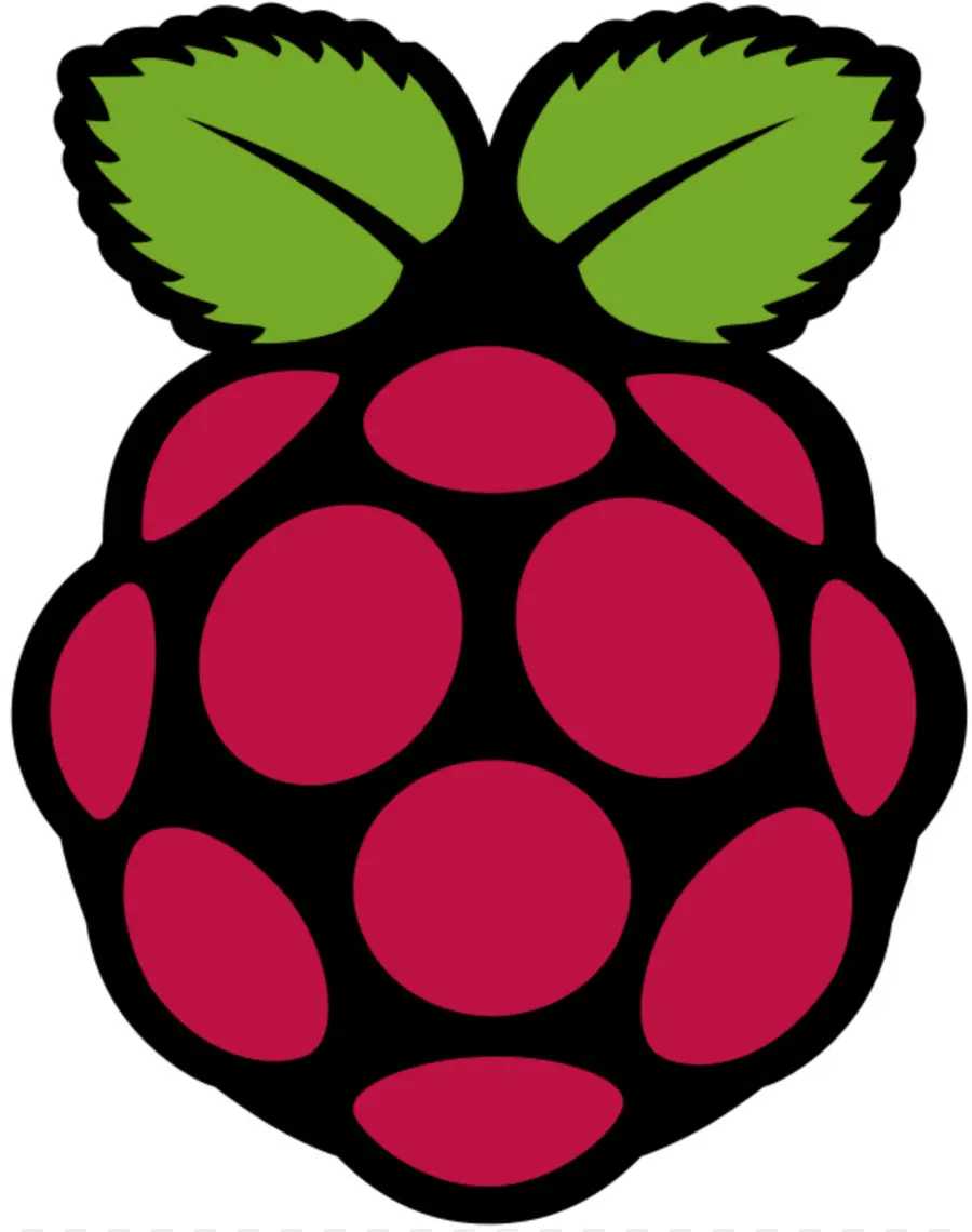 Logo Framboise，Fruit PNG