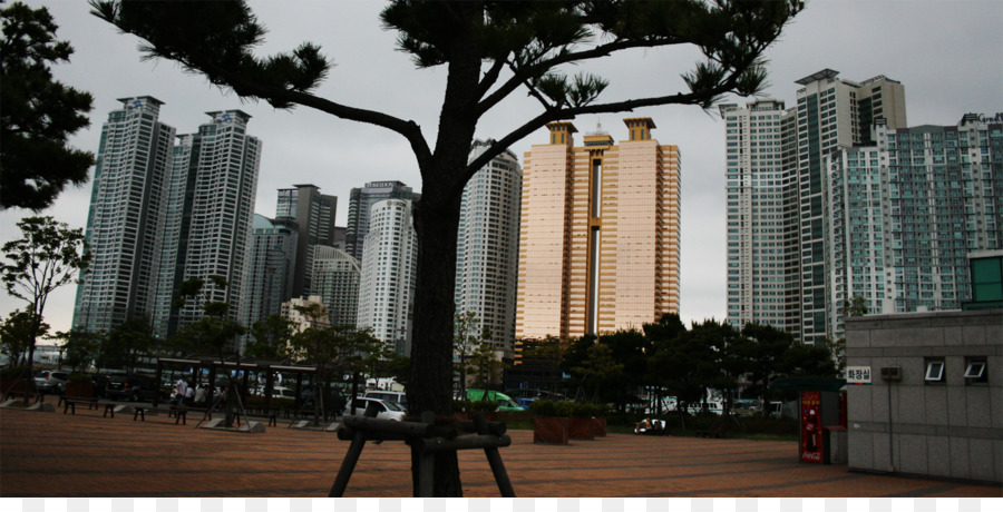 Busan，Gratte Ciel PNG