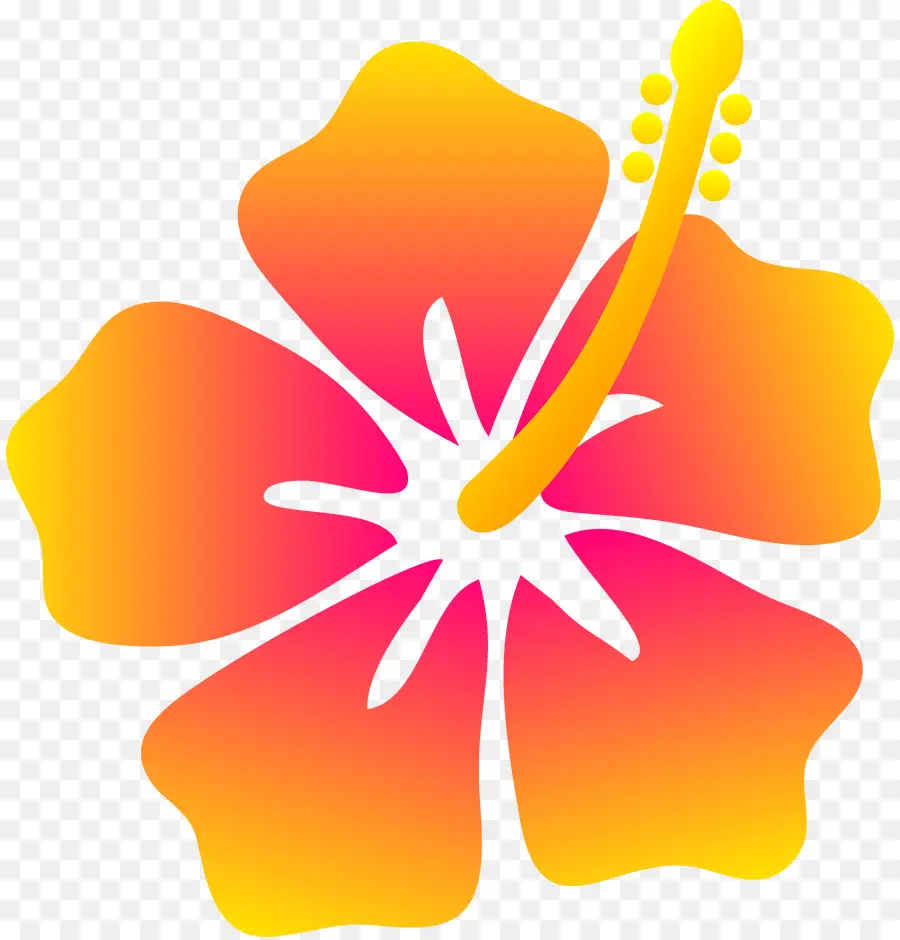 Hawaii，Hibiscus PNG