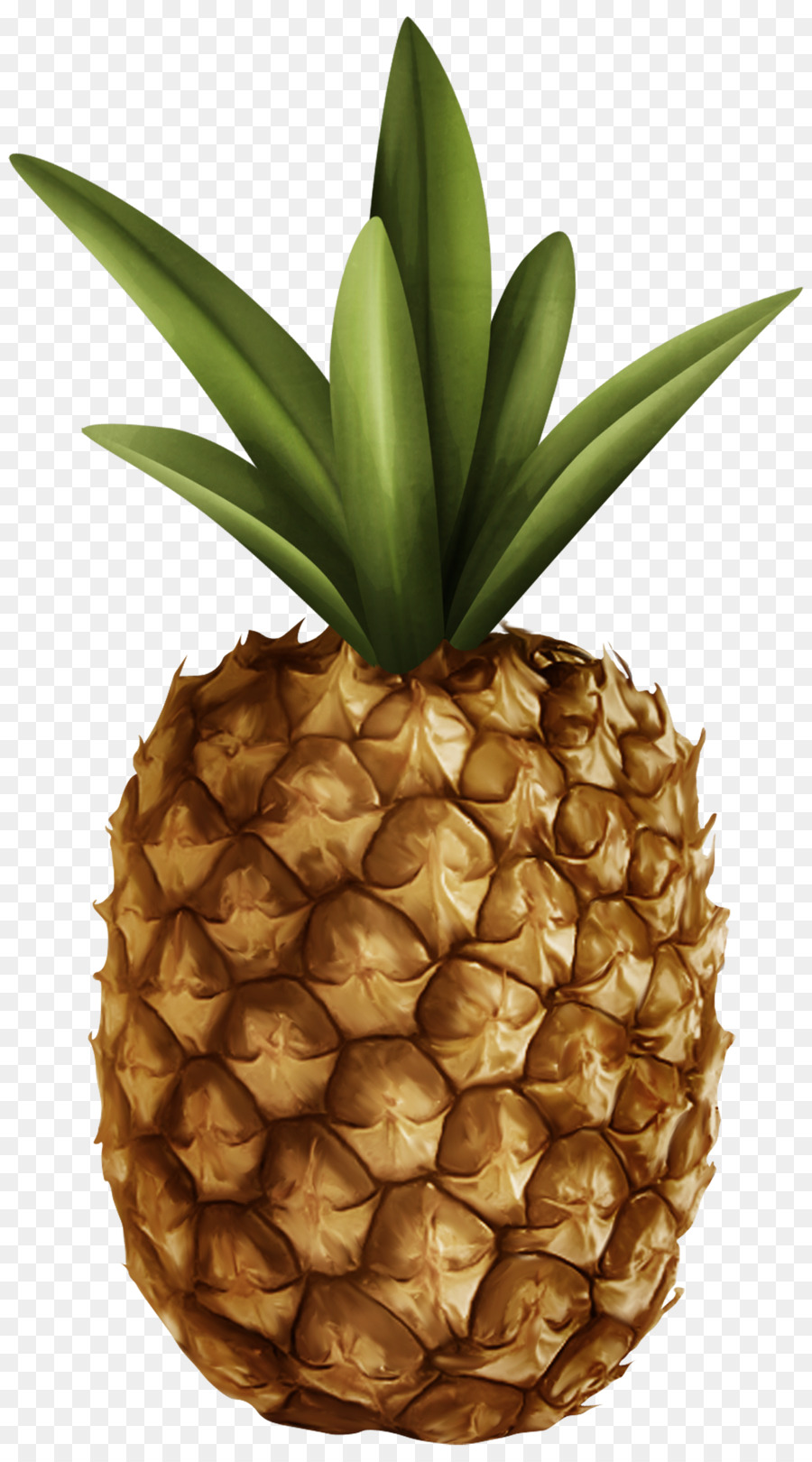 Jus，Fruits PNG