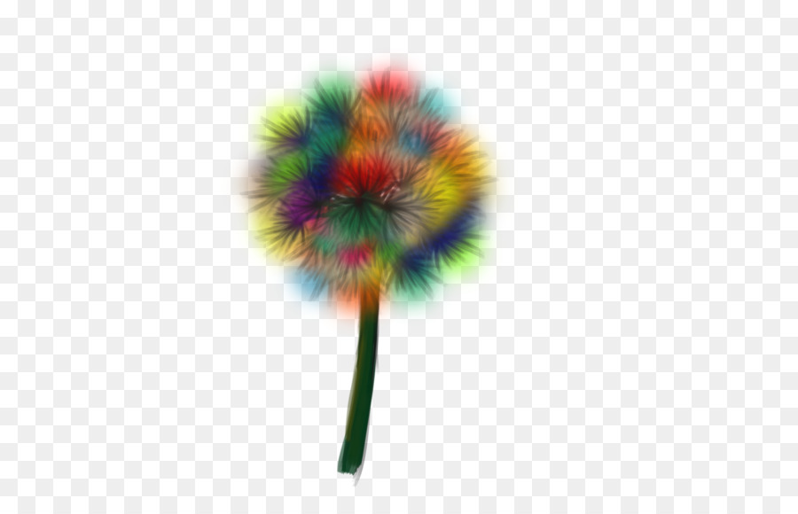 Fleur Colorée，Tige PNG