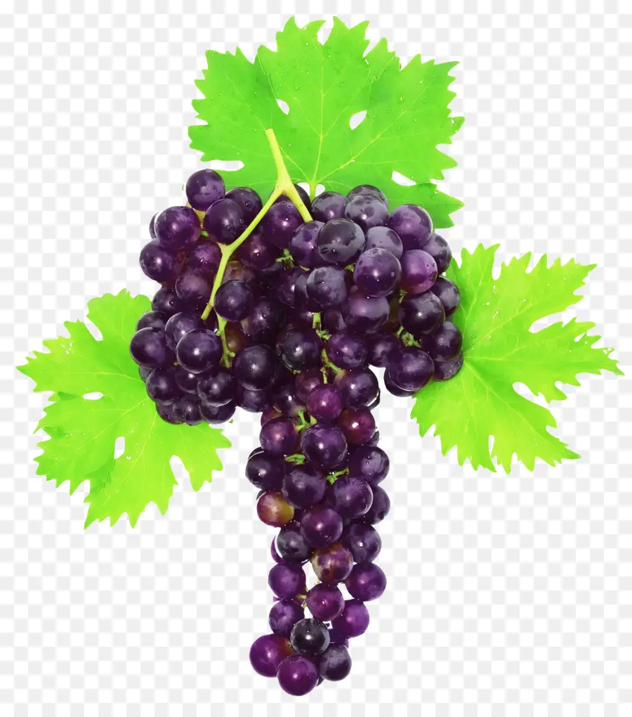 Raisins Violets，Vigne PNG