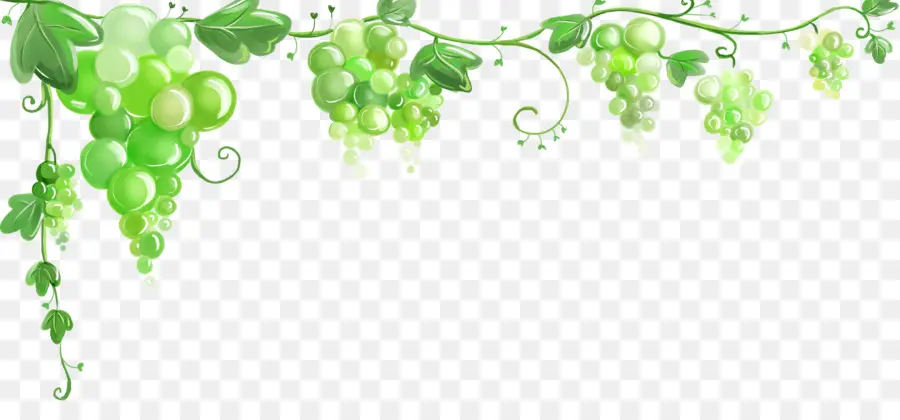 Raisins，Vert PNG