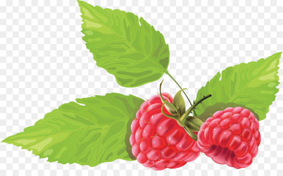 Framboises，Baie PNG