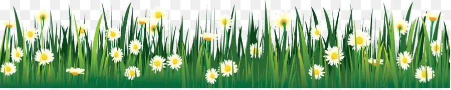 Herbe，Fleurs PNG