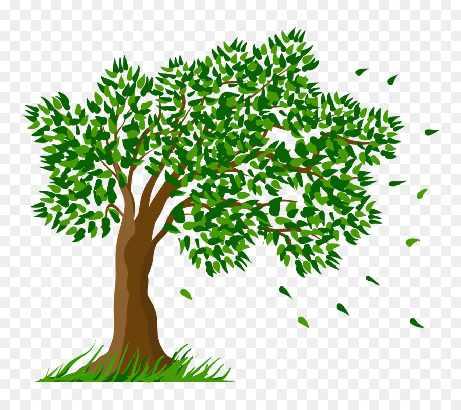 Arbre Vert，Feuilles PNG