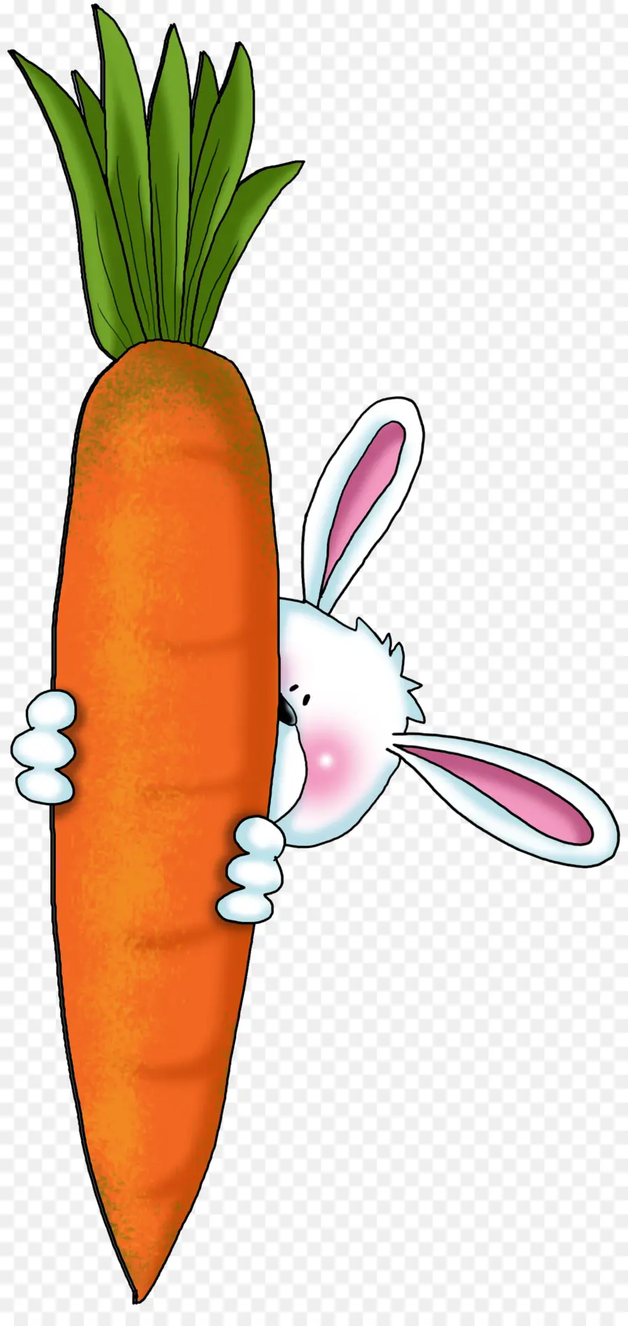 Lapin à La Carotte，Lapin PNG