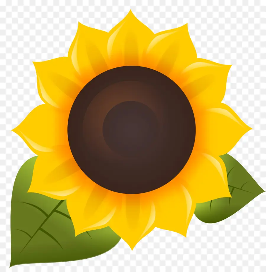 Commune De Tournesol，Logiciel Libre PNG