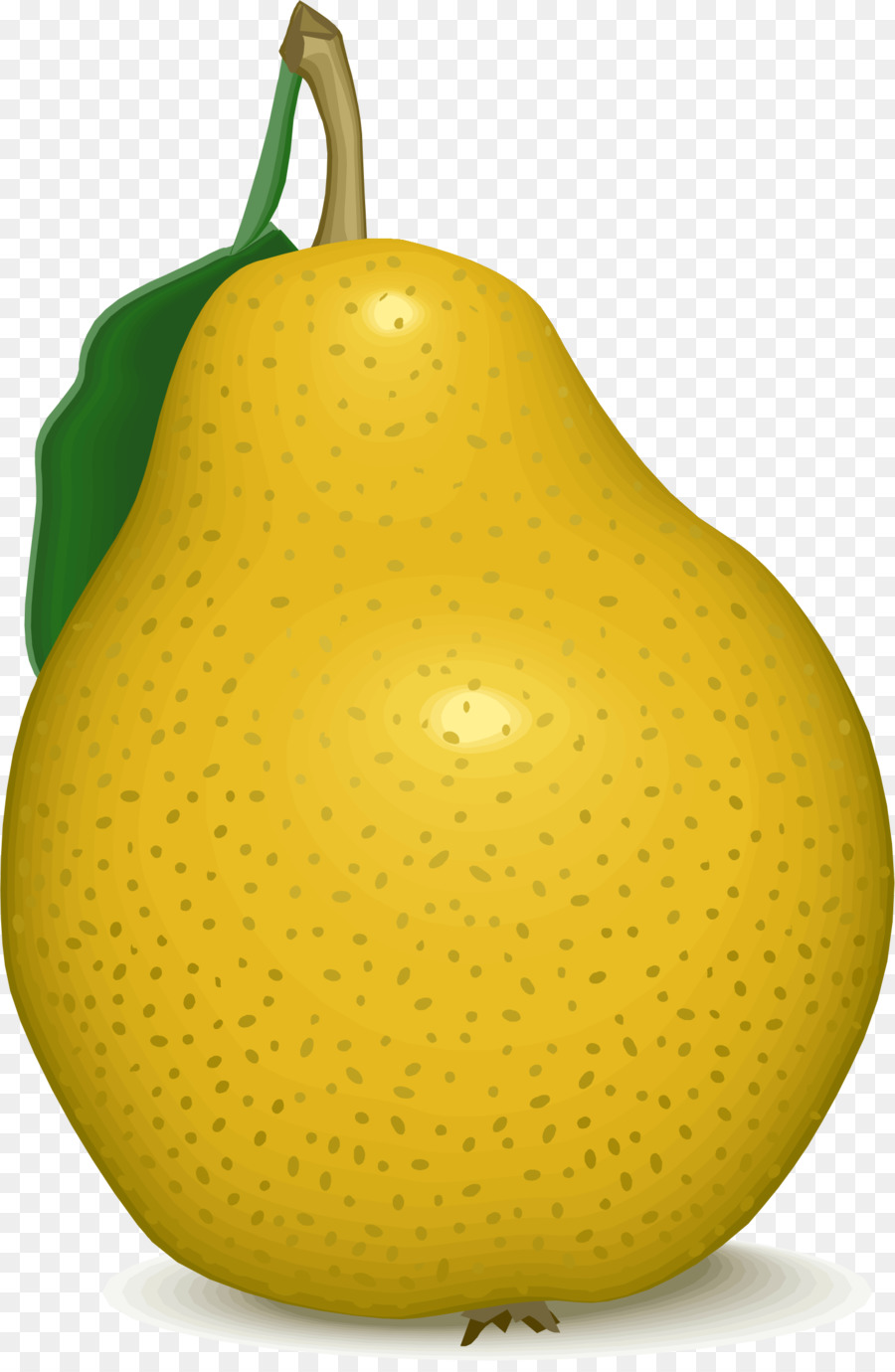 Poire，Jaune PNG